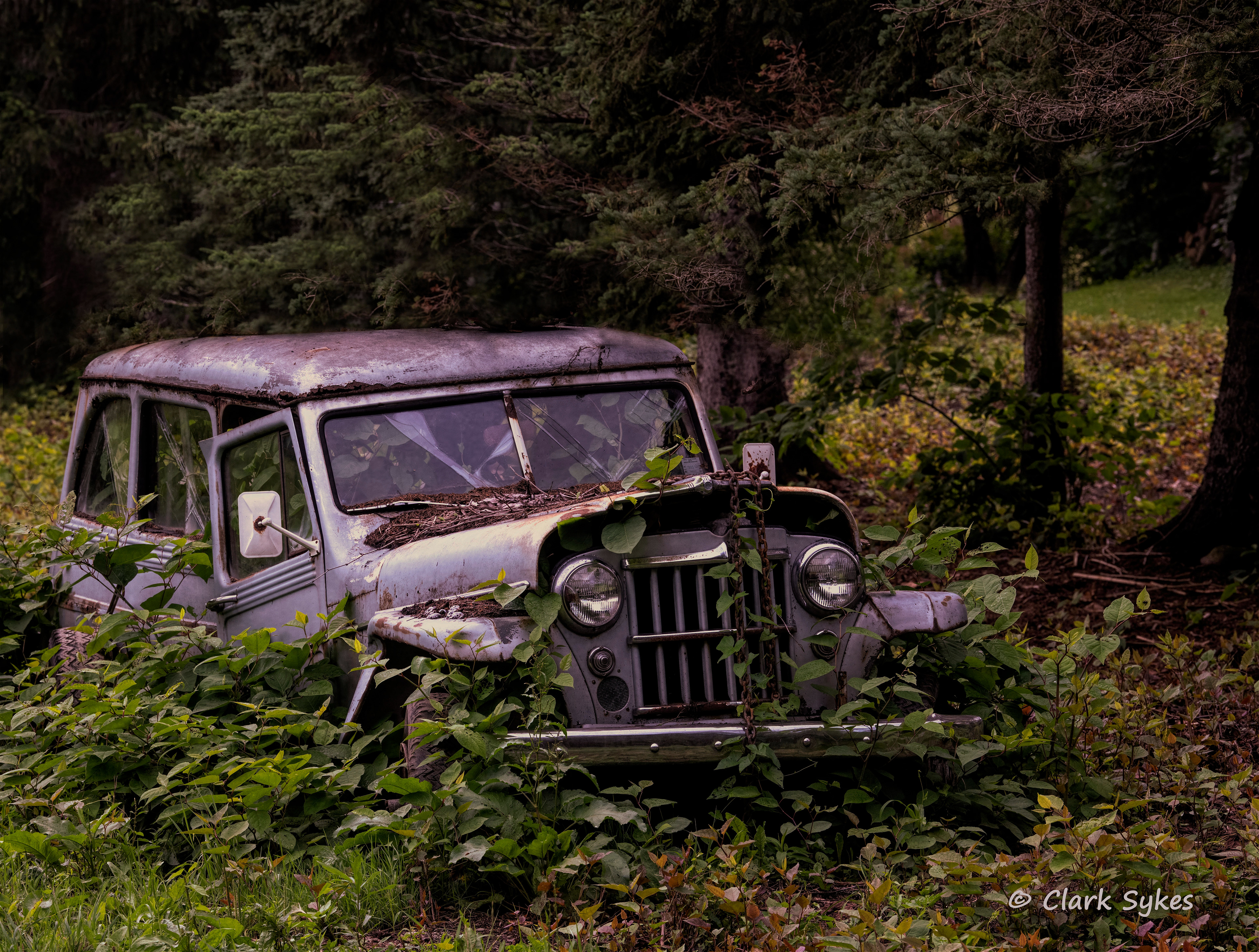 Willys Jeep, Strykersville, New York (Image DE-4)