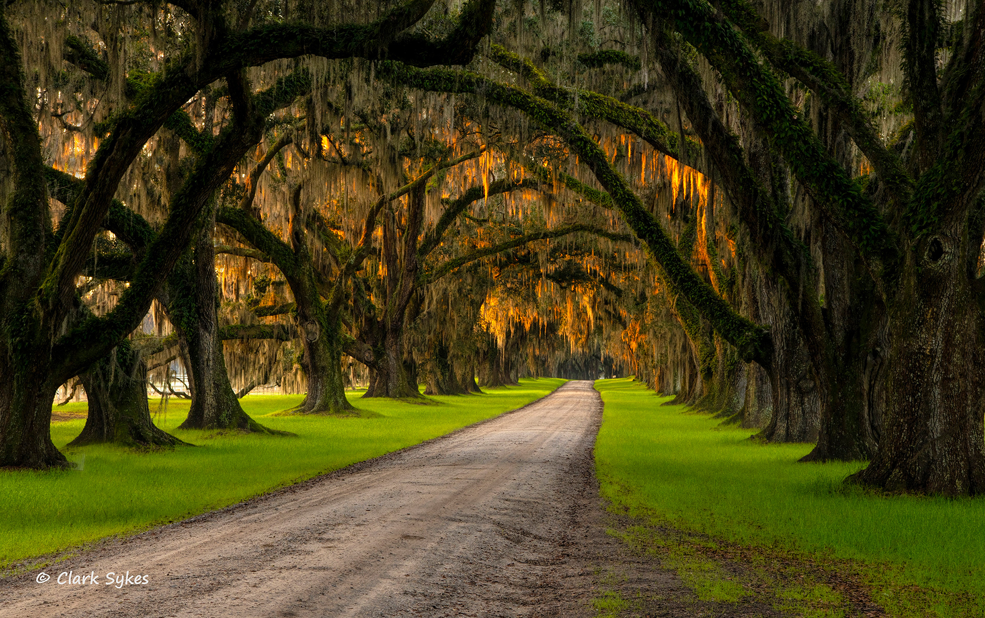 Tomotely Plantation, Yemassee, South Carolina (Image LC-24)