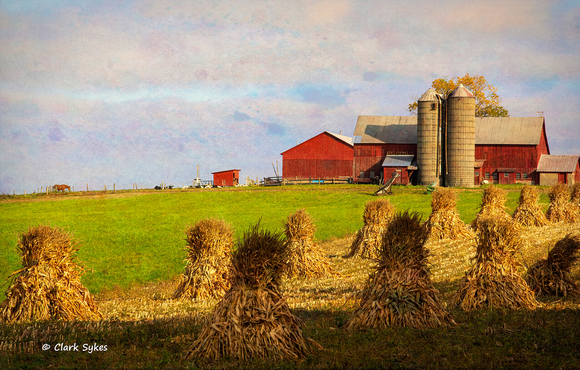 Amish farm harvest, Mansfield, New York (Image GL-26)