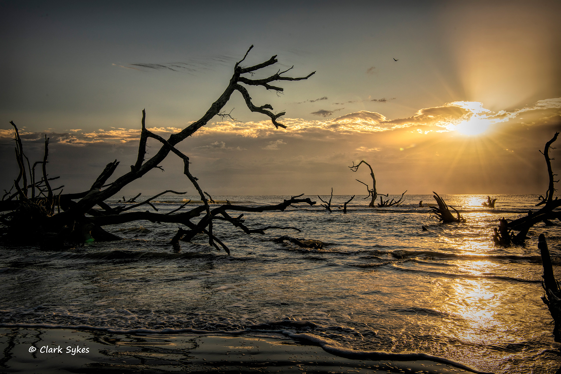 Boneyard beach sunrise, Little Hunting Island, South Carolina (Image LC-6)