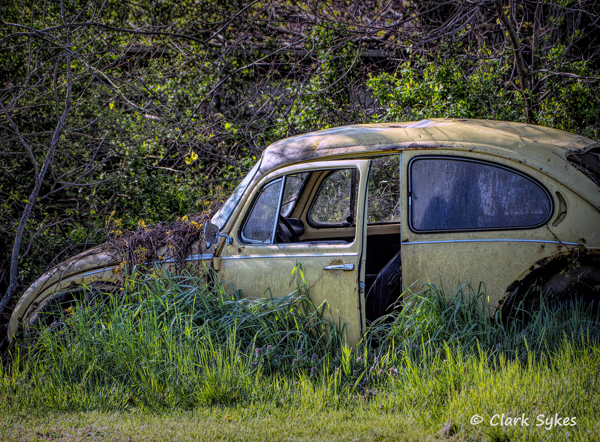 Abandoned VW, on way to Greenbackville, Virginia (Image DE-8)