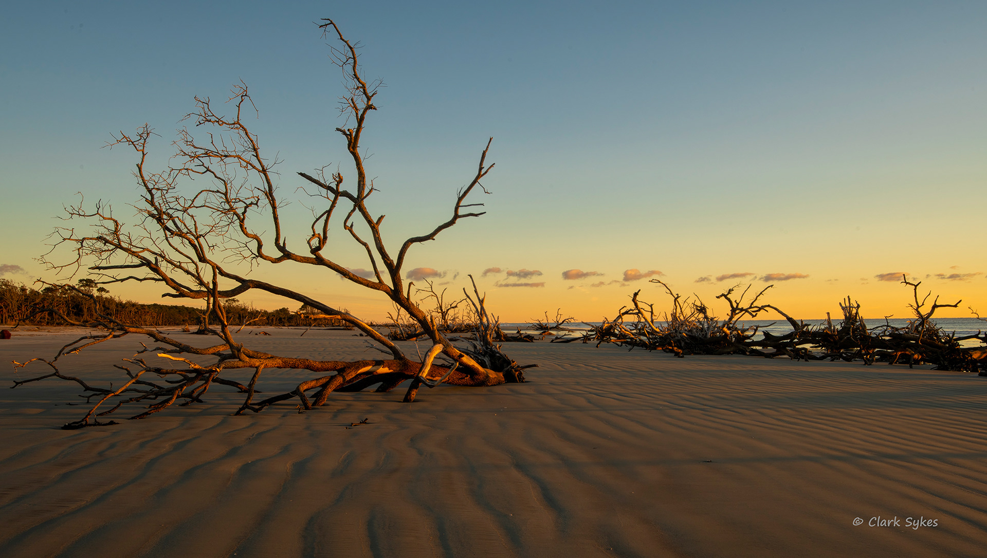 Boneyard beach sunrise, Little Hunting Island, South Carolina (Image LC-8)