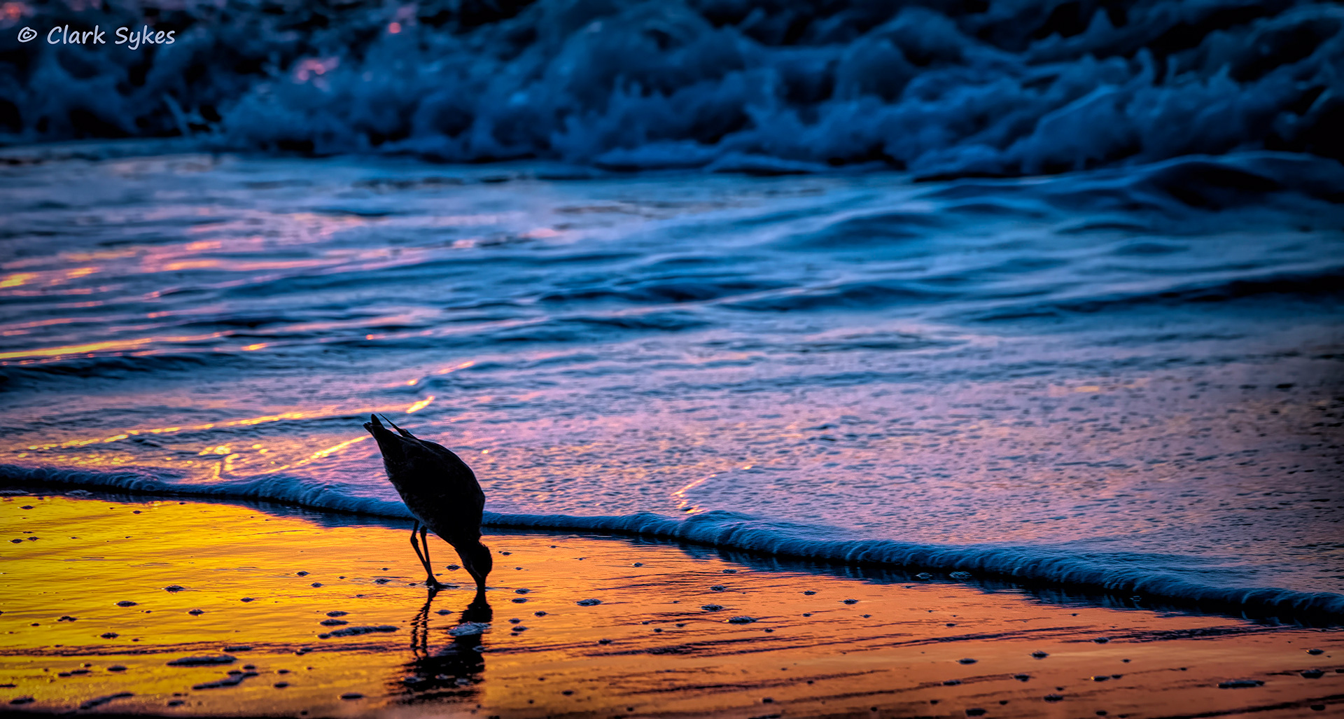 Assateague Island sunrise, Chincoteague Virginia (Image CH-3)
