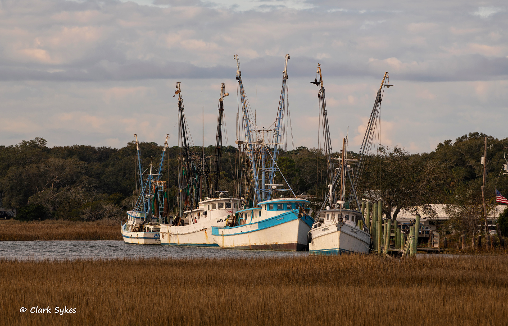 Trawling fleet, St. Helena Island, South Carolina (Image LC-21)