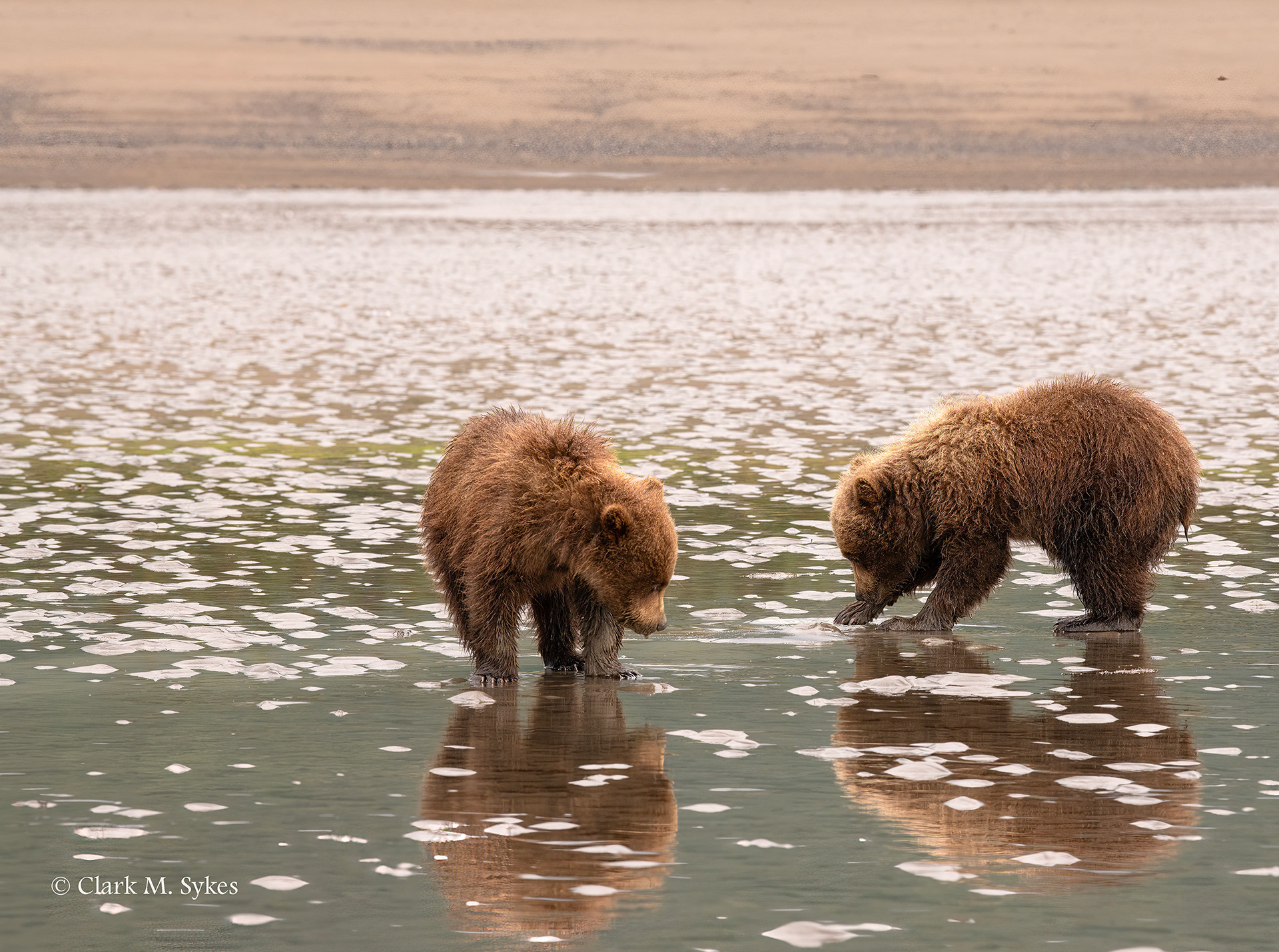 You find any clams? Lake Clark, Alaska (Image AK-30)