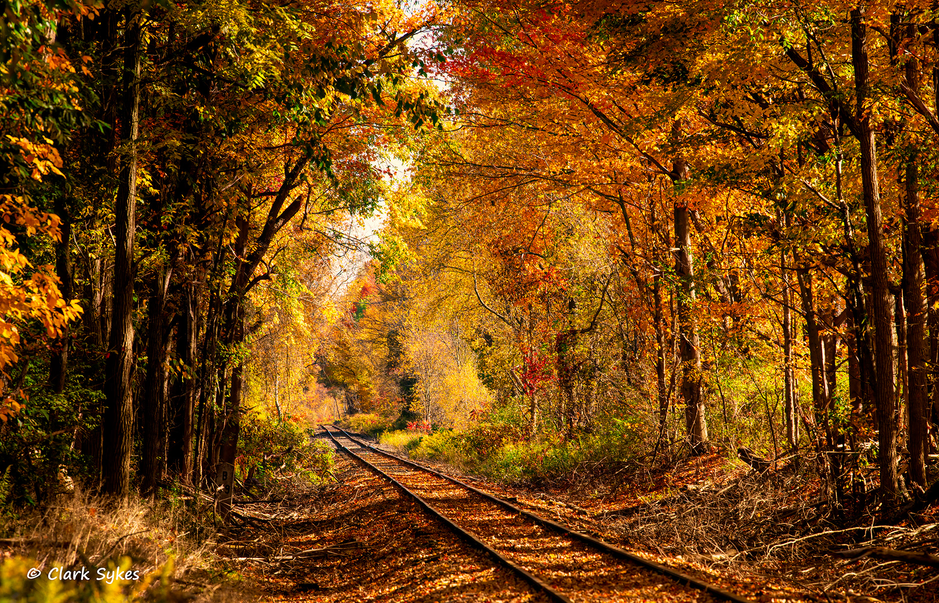 The Road Not Taken, Eden, New York (Image GL-44)
