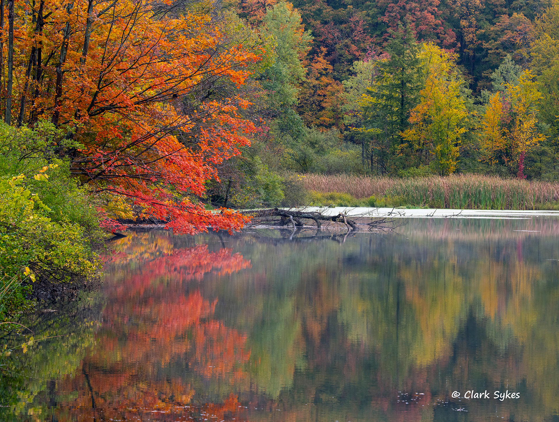 Fall pond, Mansfield, New York (Image GL-38)