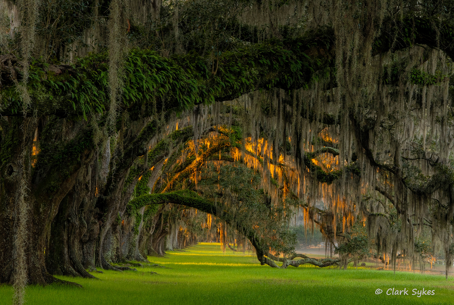 Tomotley Plantation, Yemassee, South Carolina (Image LC-2)