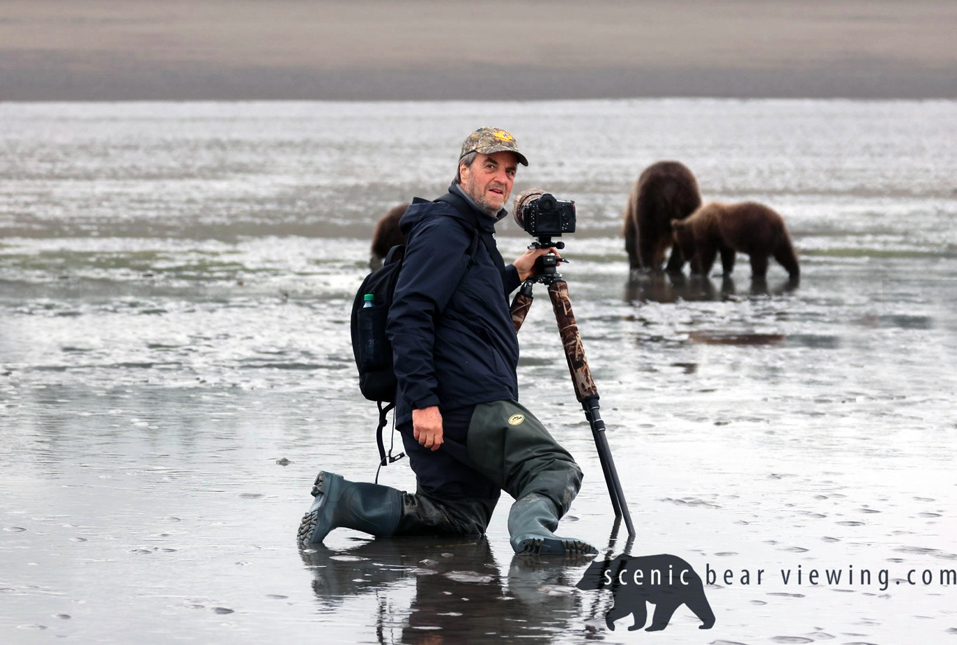 Shooting bears on the beach, Katmai, Alaska (Image AK-10)