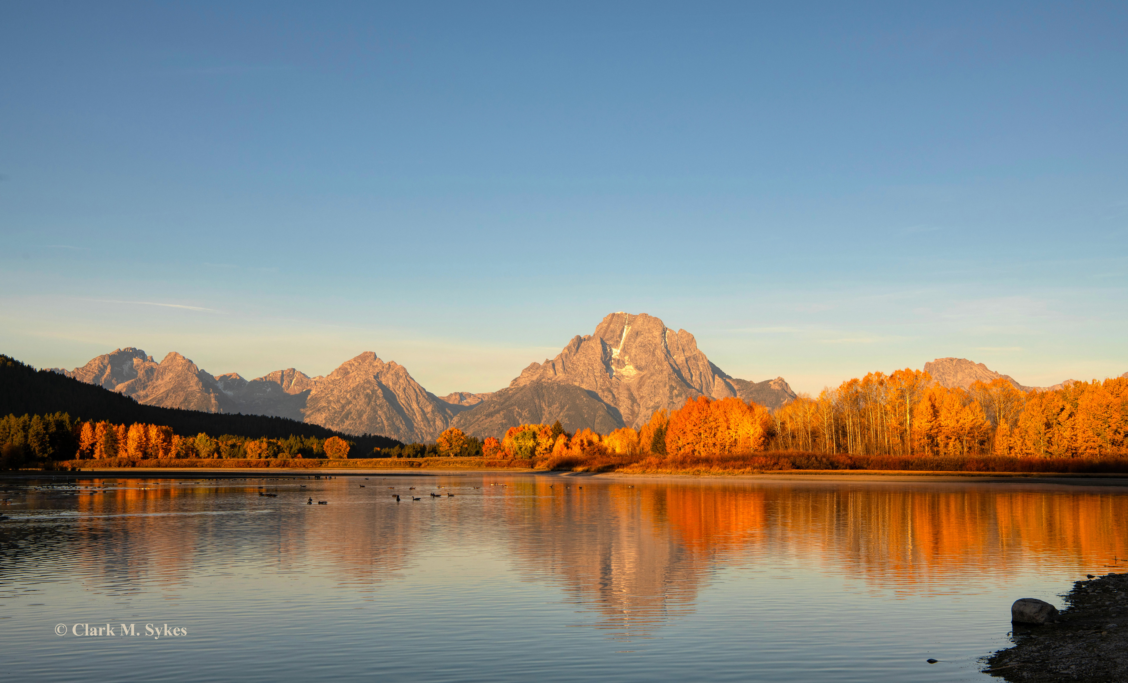 My take on Grand Teton's famous Oxbow Bend at dawn. A commonly photographed scene, nothing quite prepares you for just how stunning it is in person. Unfortunately, the day brought clear skies and a slight breeze, which affected the reflections in the water. I'd like to return on a semi-cloudy and still morning.