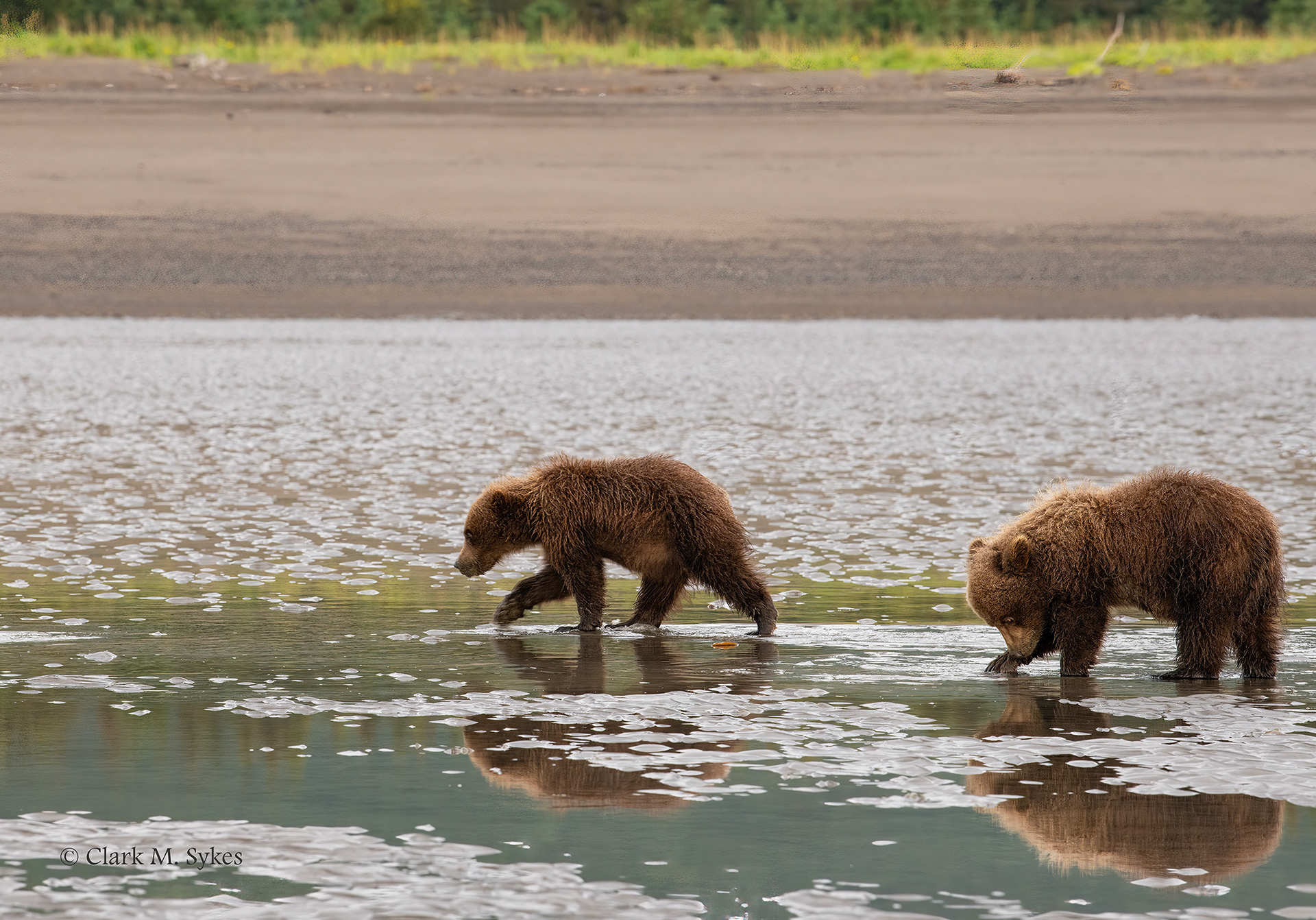 Where are the clams? Lake Clark, Alaska (Image AK-27)