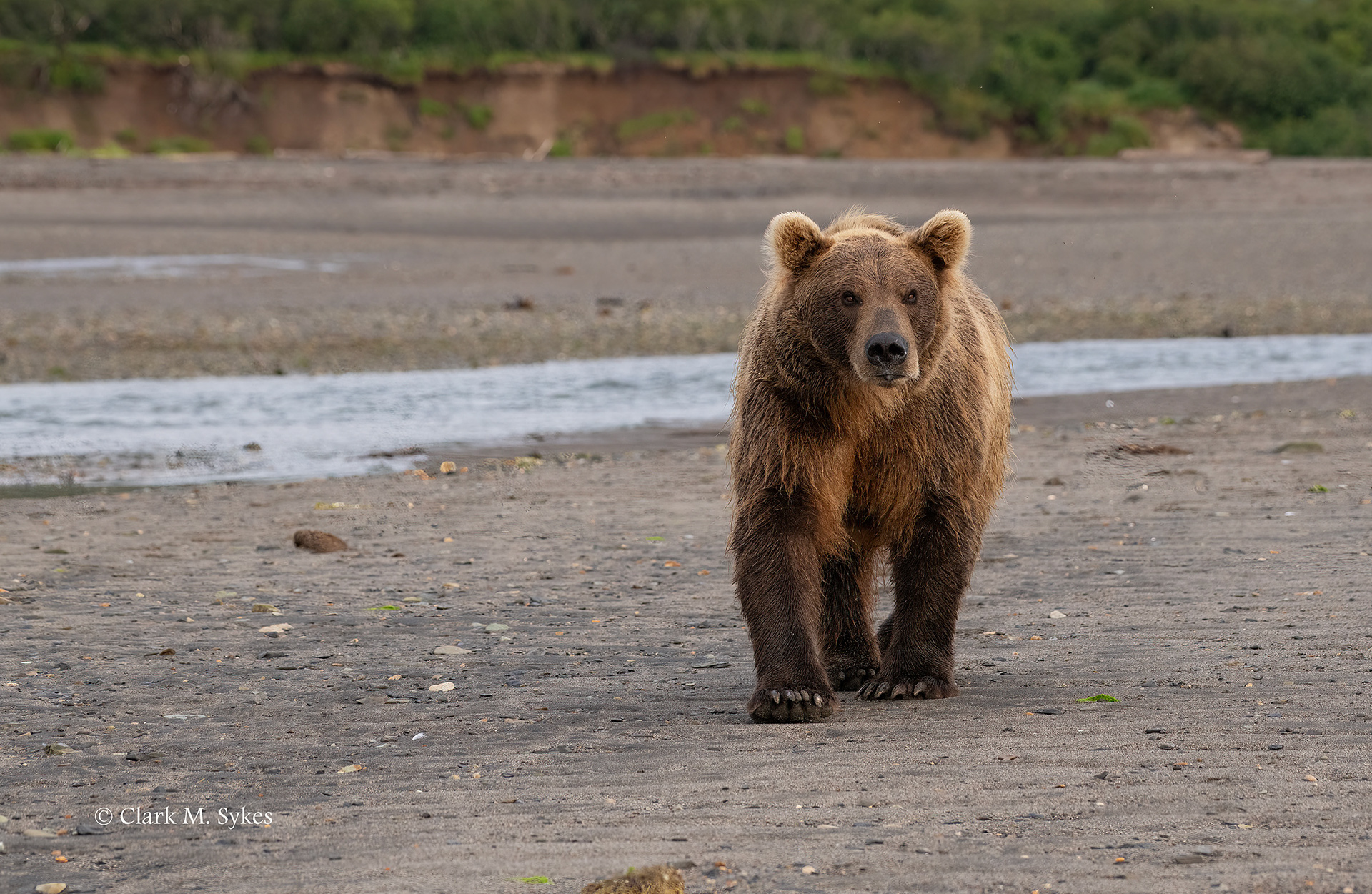 I own this place... Katmai National Park, Alaska (Image AK-1)