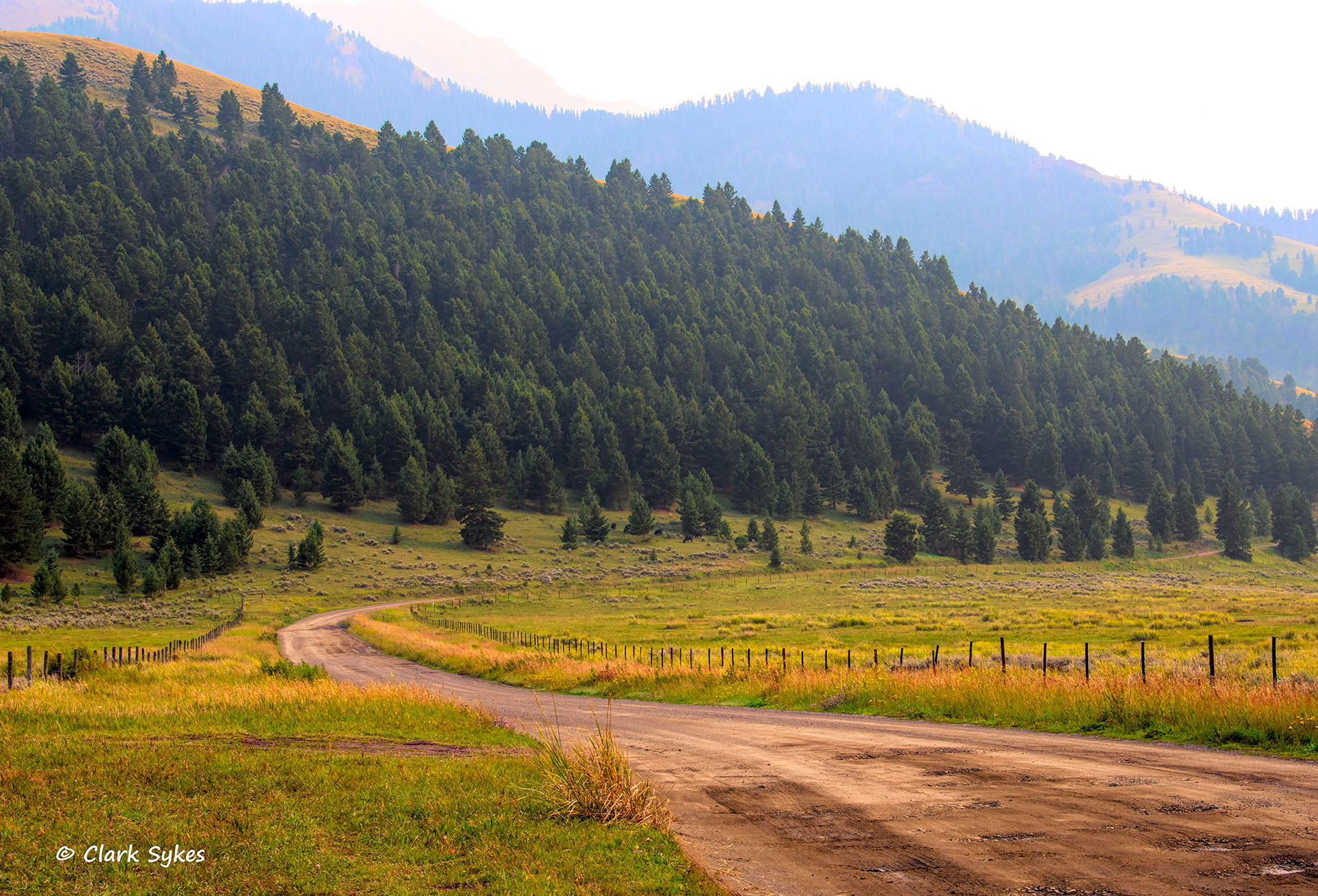 Tom Miner Basin, Gardiner, Montana (Image YS-23)