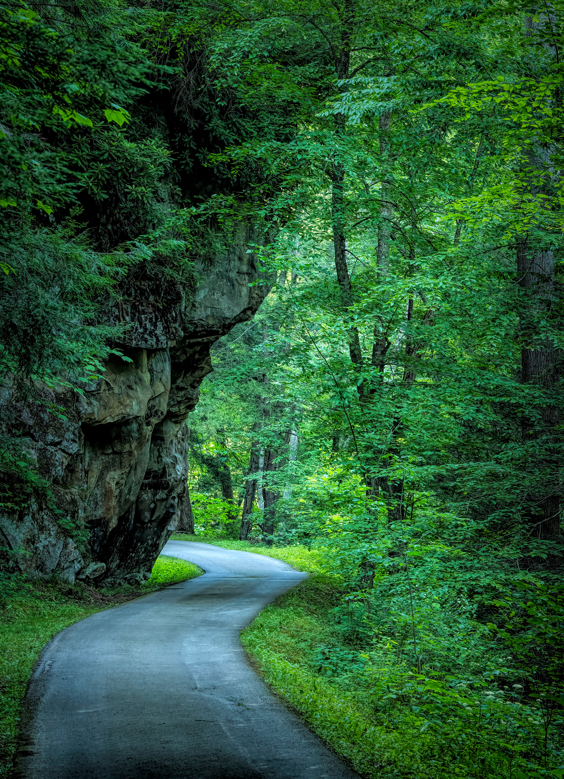 Country road, West Virginia (Image WV-6)