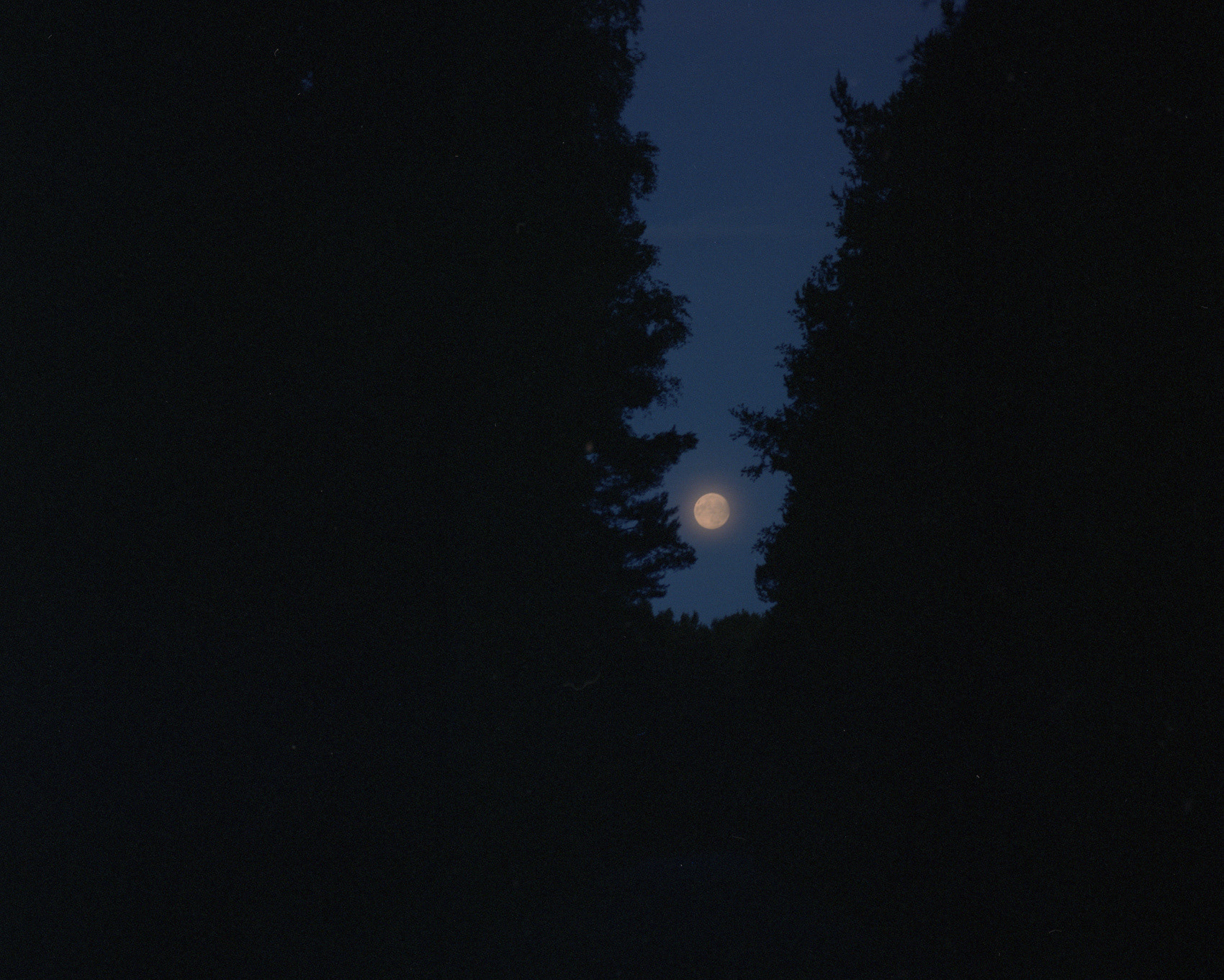 Słowiński Park Narodowy, Archival pigment print