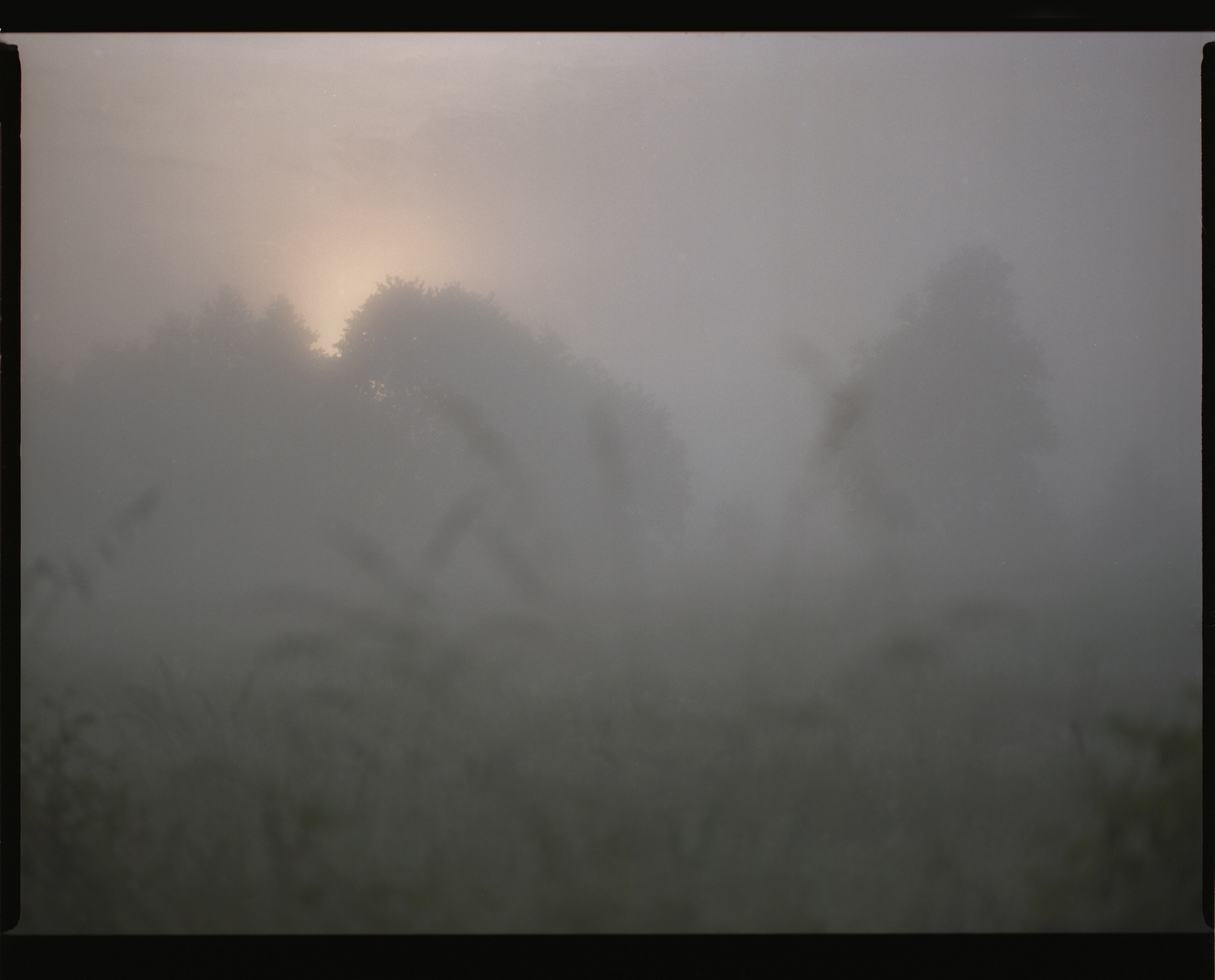 Słowiński Park Narodowy, Archival pigment print