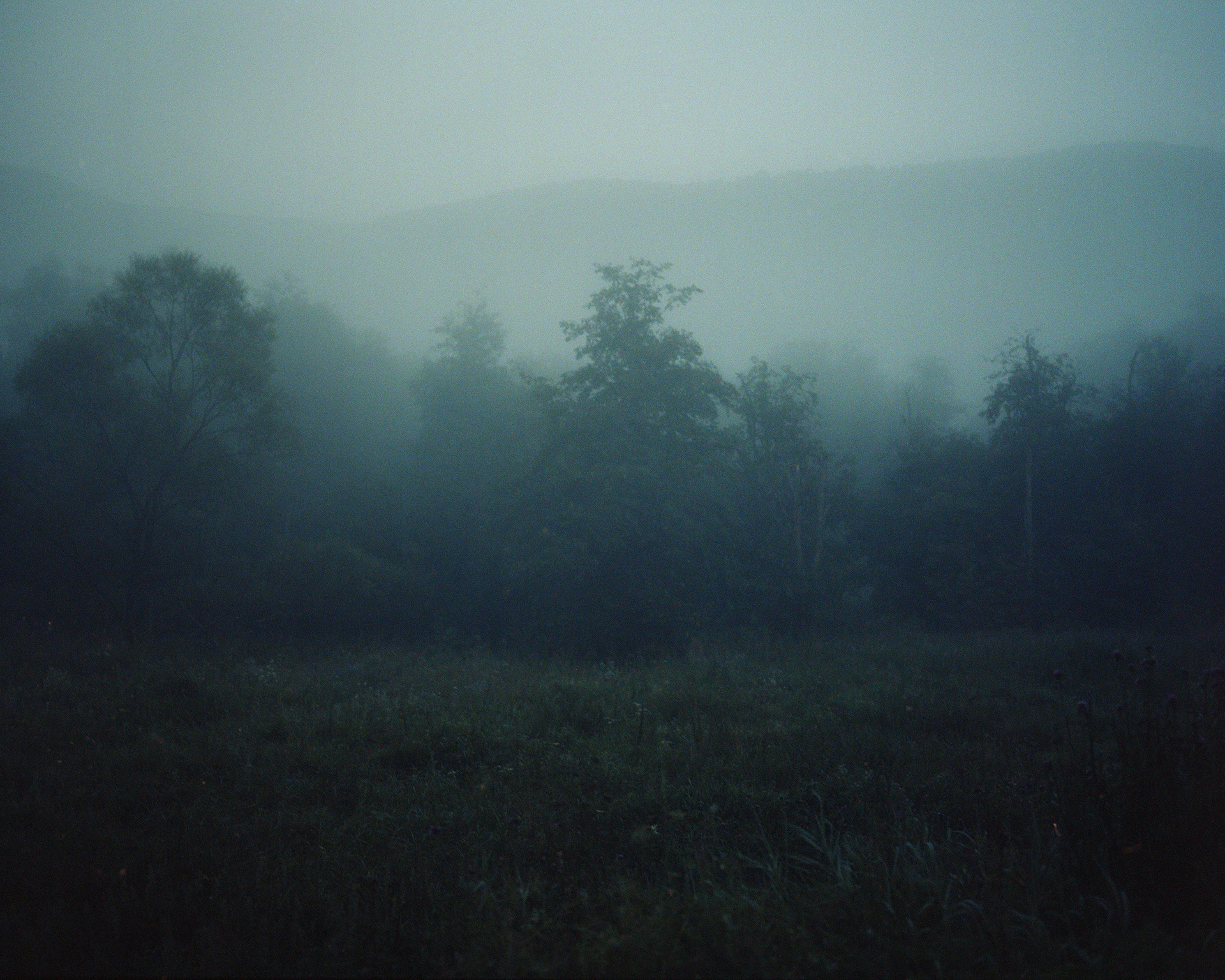 Bieszczadzki Park Narodowy, Archival pigment print