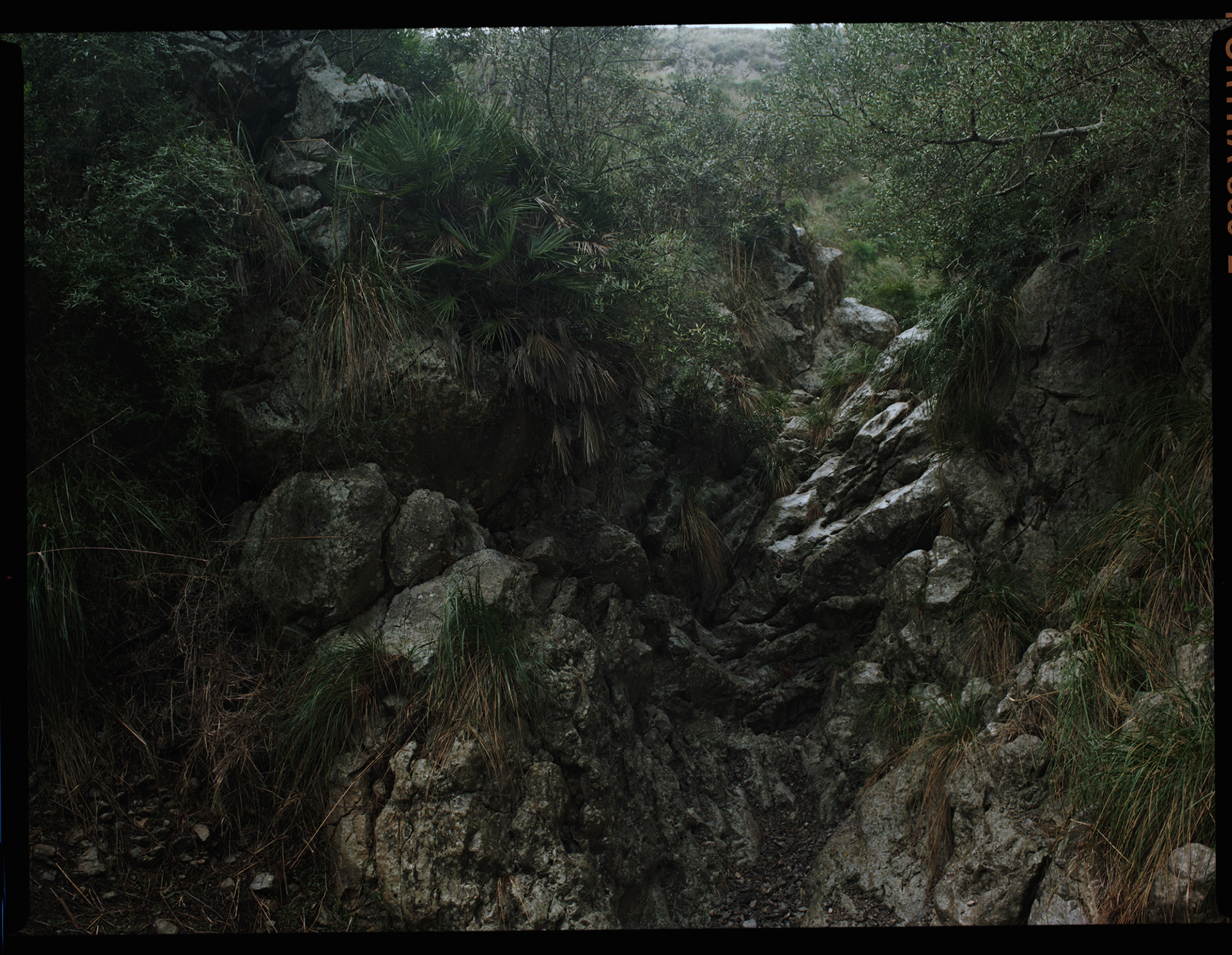 Mallorca, archival pigment print