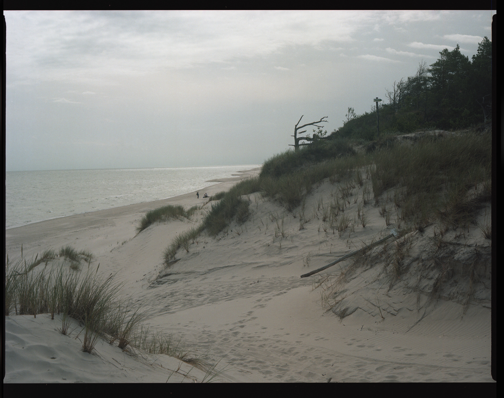 Słowiński Park Narodowy, Archival pigment print