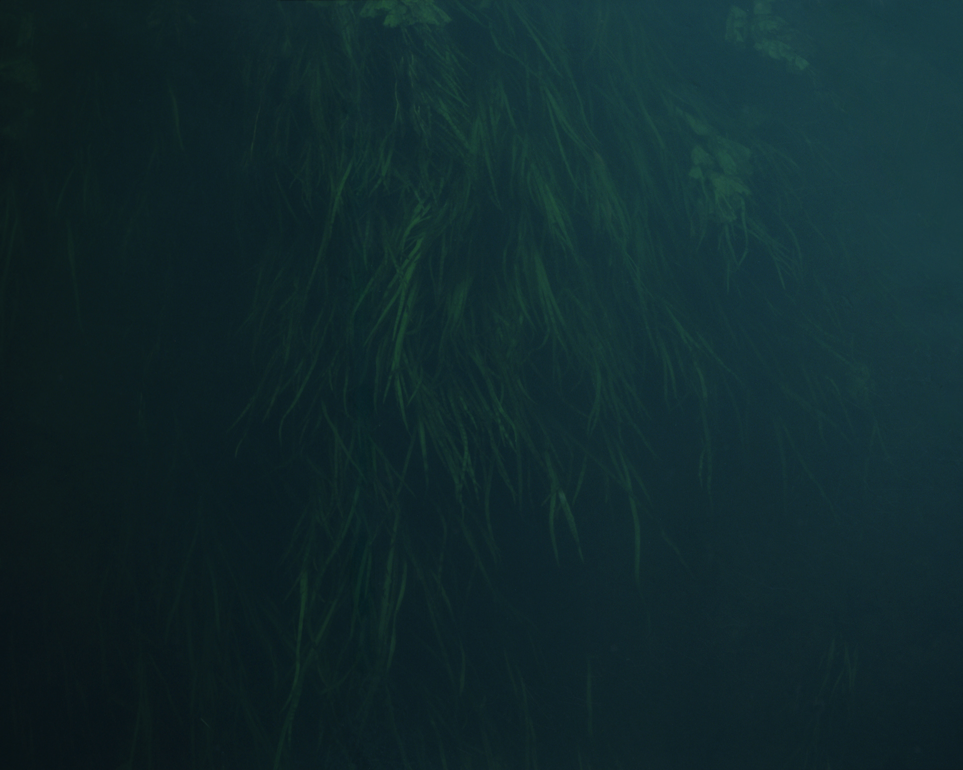  Archival pigment print  