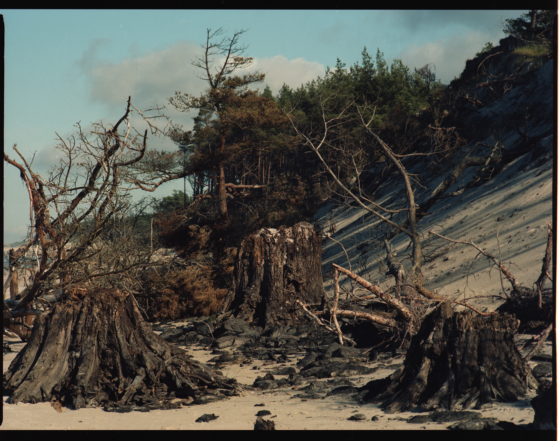 🔶 Słowiński Park Narodowy, Archival pigment print