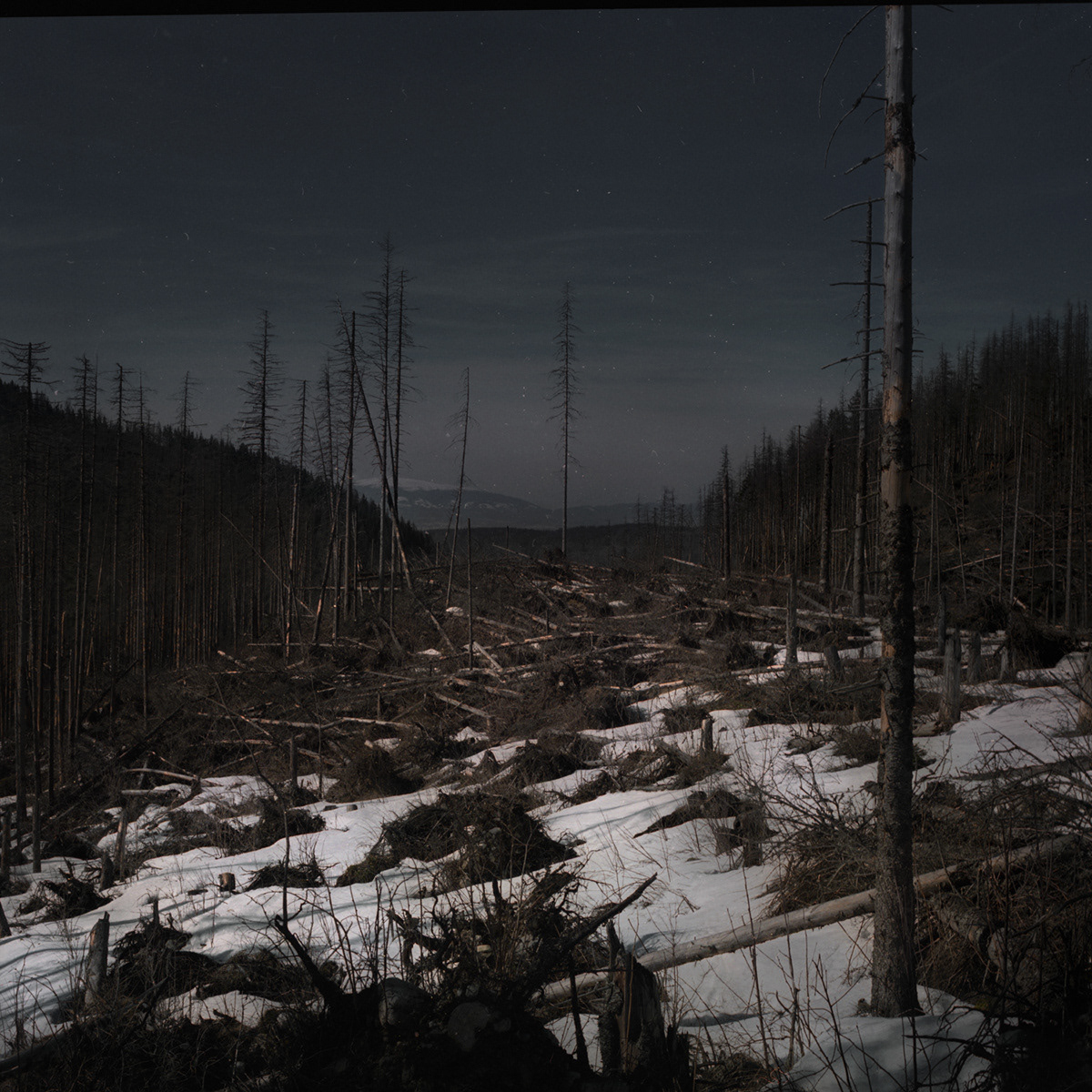 Tatrzański Park Narodowy, Archival pigment print