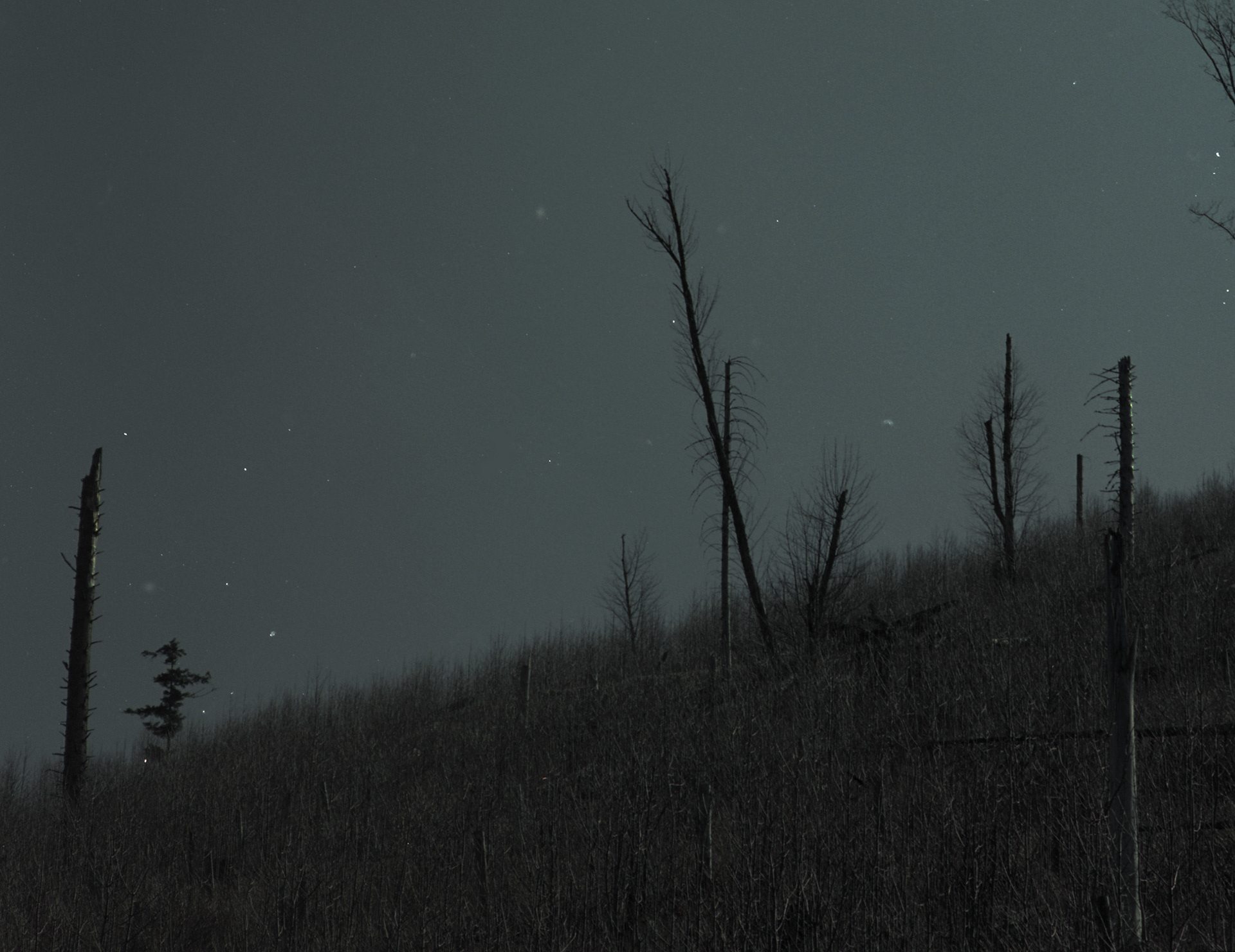 Tatrzański Park Narodowy, Archival pigment print
