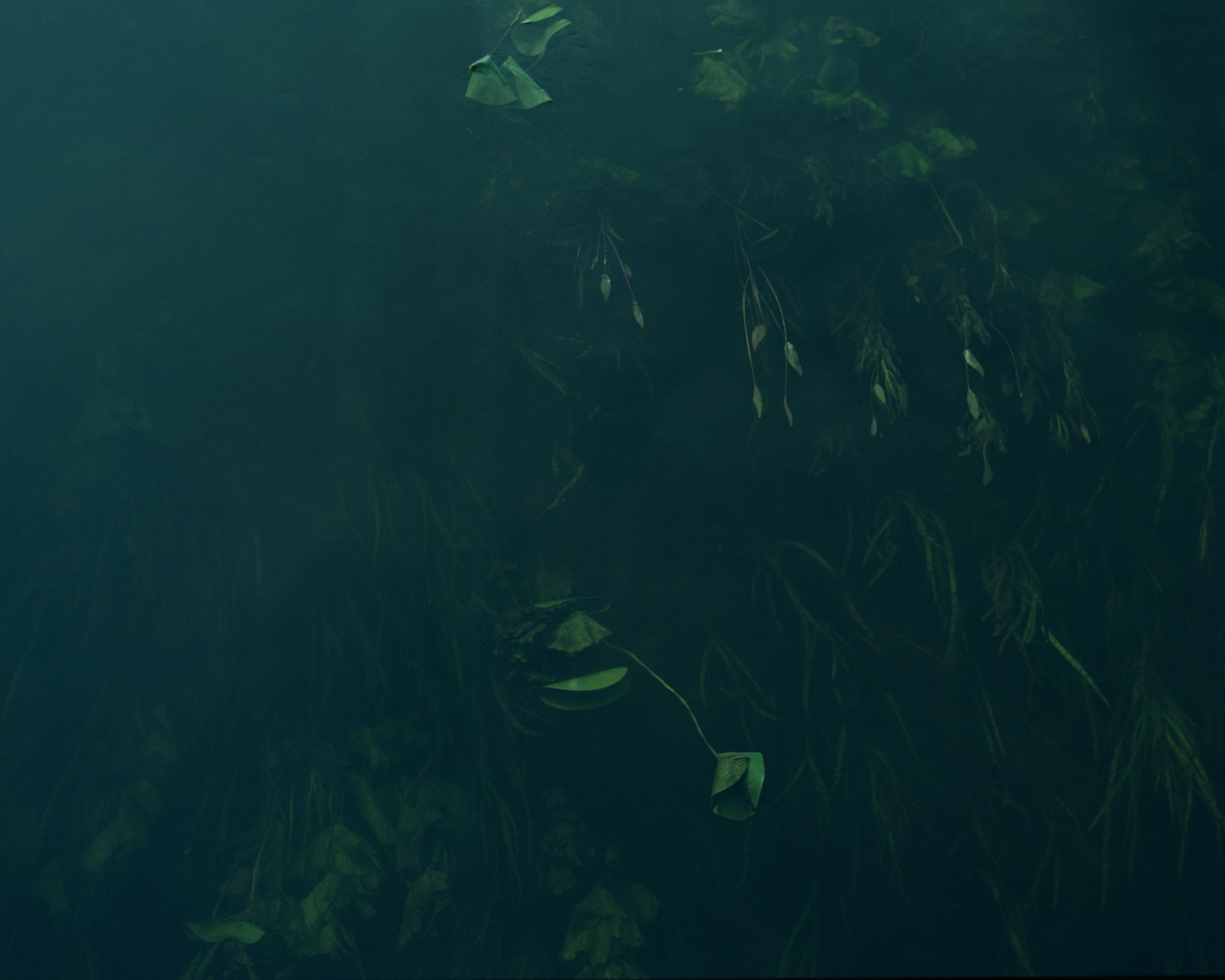  Archival pigment print  