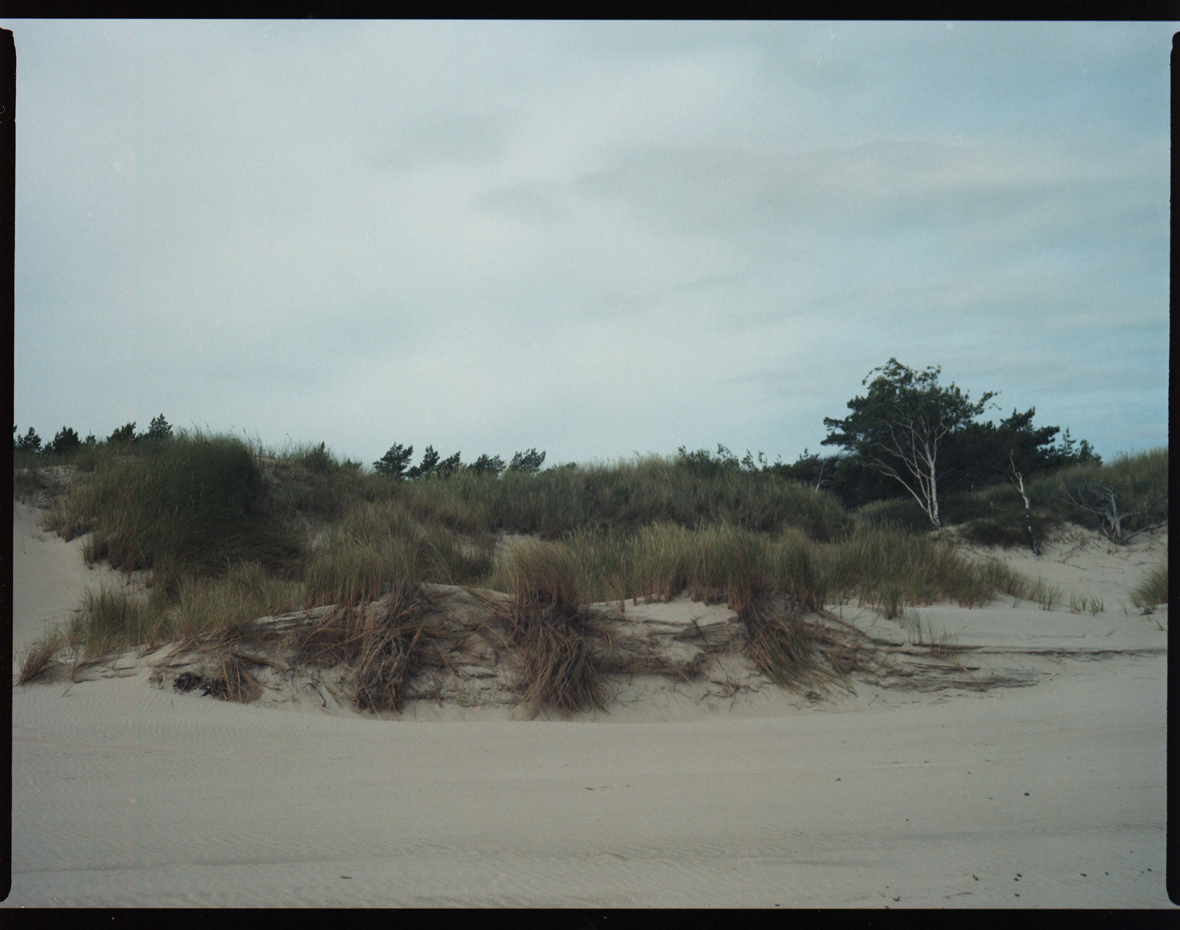 Słowiński Park Narodowy, Archival pigment print