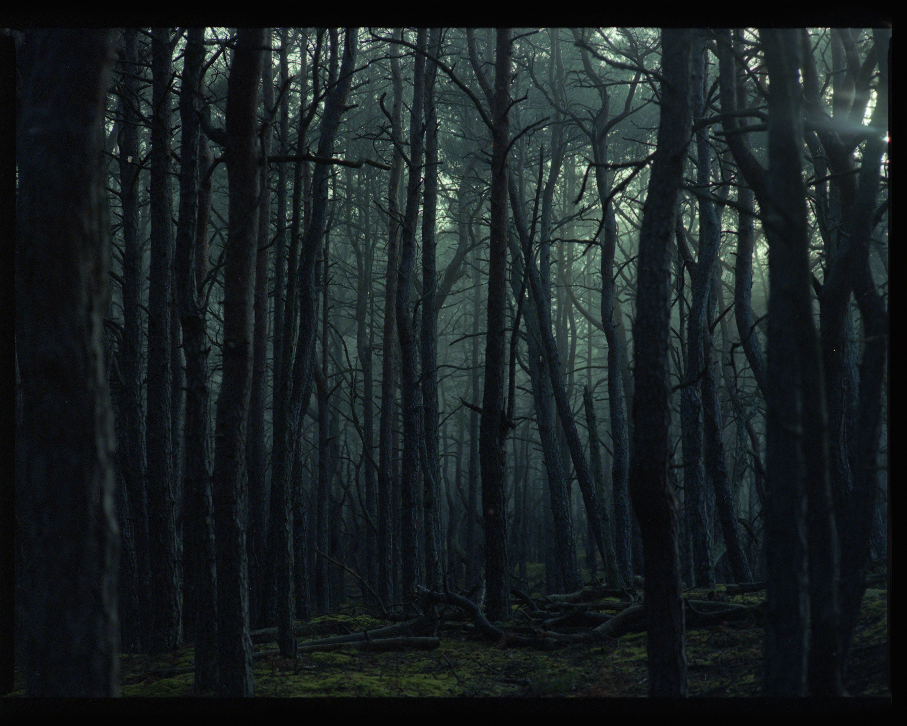 🔶 Słowiński Park Narodowy, Archival pigment print