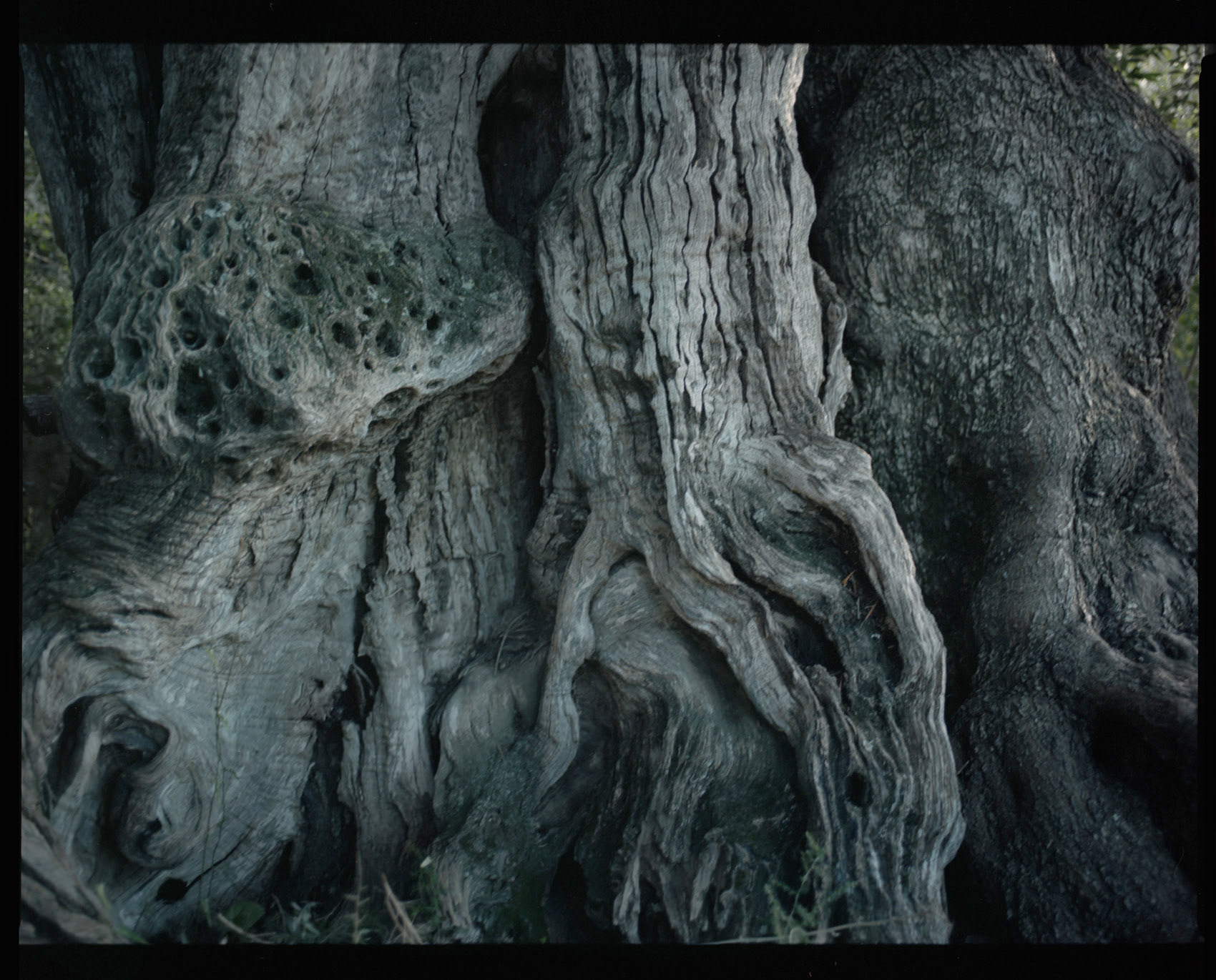 Mallorca, archival pigment print