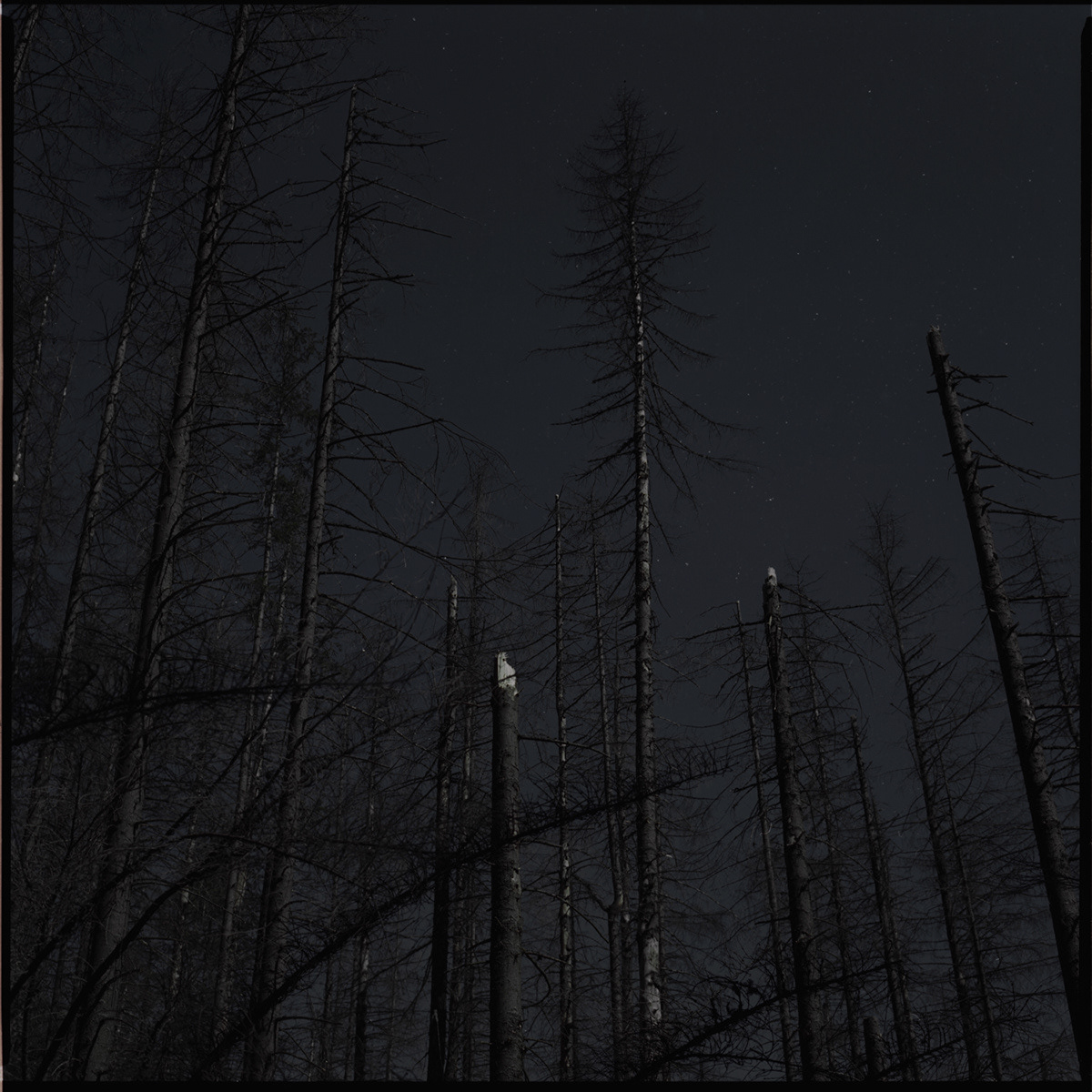 Tatrzański Park Narodowy, Archival pigment print