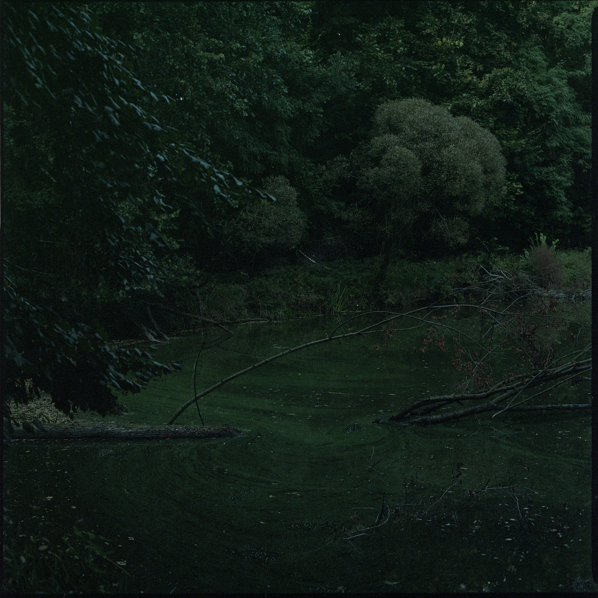 Polska, Archival pigment print