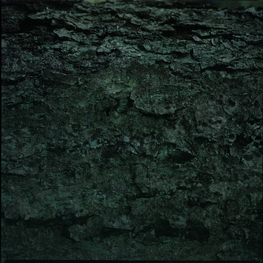 Archival pigment print