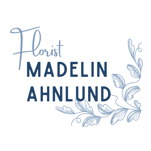 Madelin Ahnlund