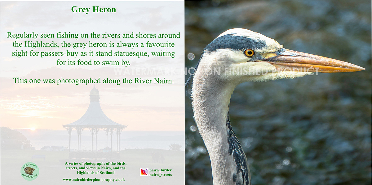 LAST ONE! (See below for new design at FFS86). Order Ref: FFS17