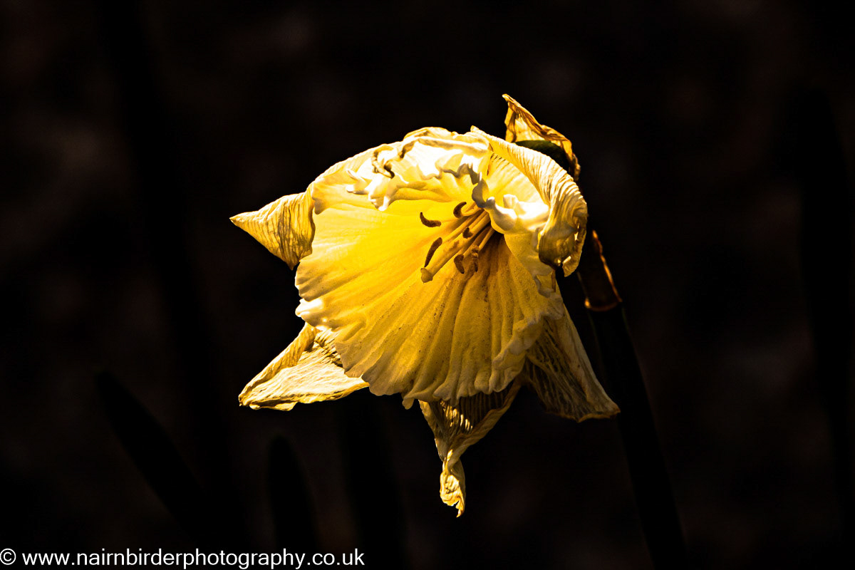 End of Spring