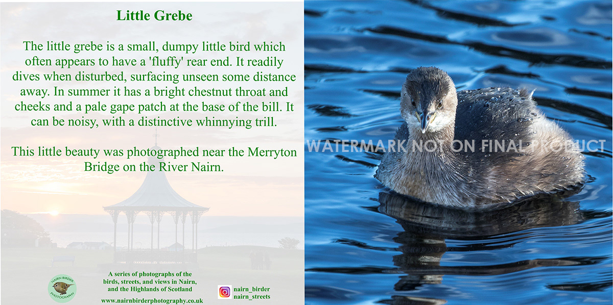 ONLY ONE REMAINING! (See below for new design at FFS85).  Order Ref: FFS50