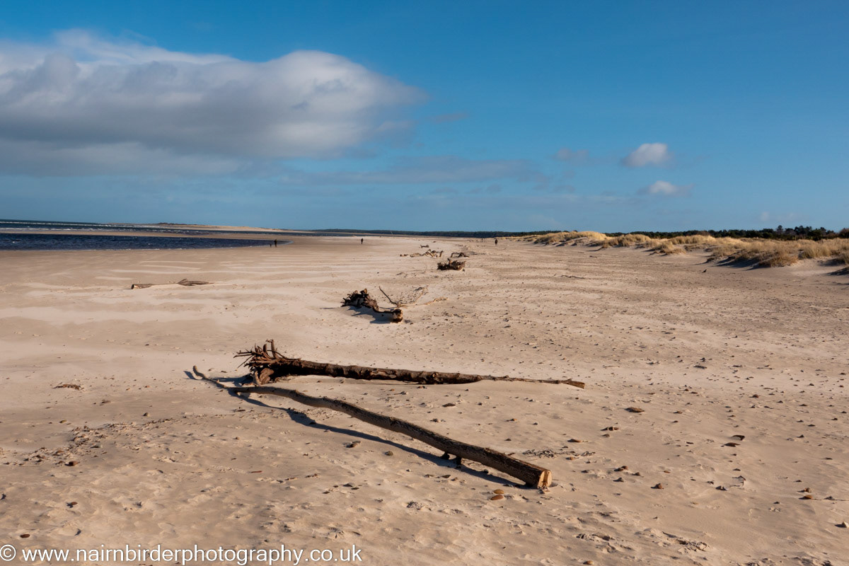 Nairn Beach