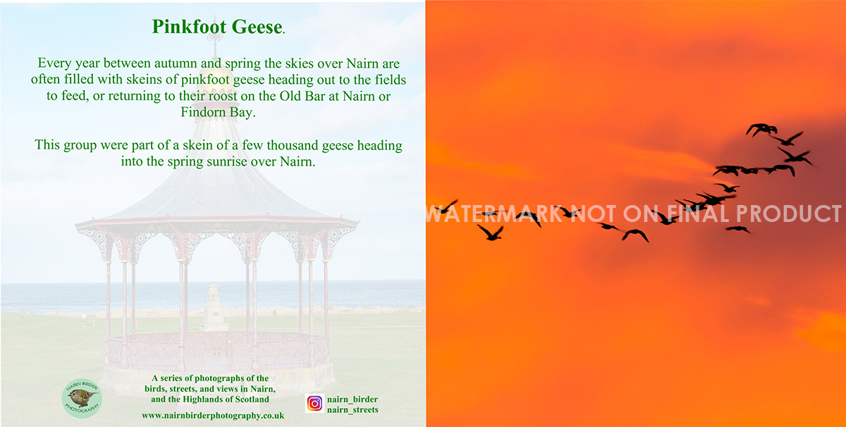 Out of Stock - see FFS84 below for new design