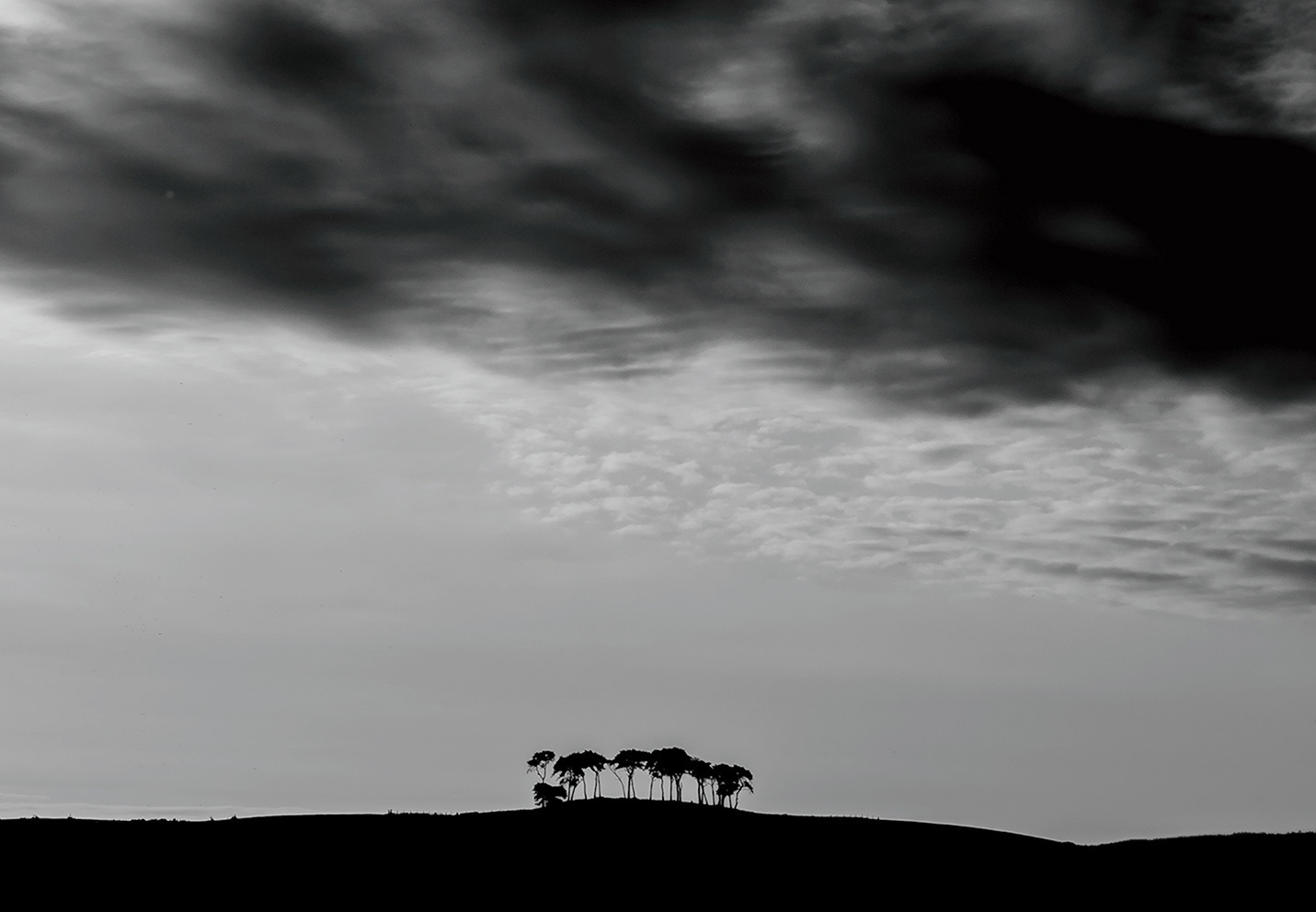Lamb Hill, near Nairn