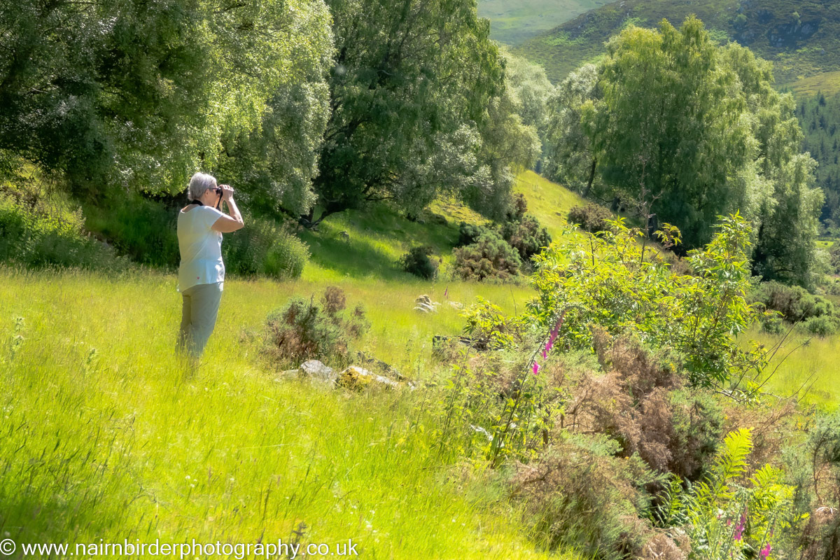 Source of the River Nairn