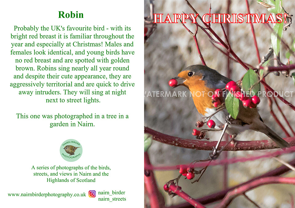 £2.75 per card. Rectangular Card. Order Ref: CR1