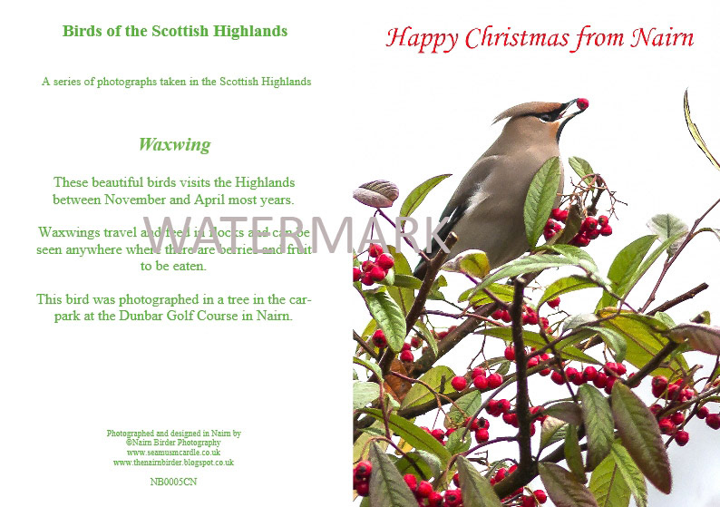 £2.75 per card. Rectangular Card. Order Ref: CR4