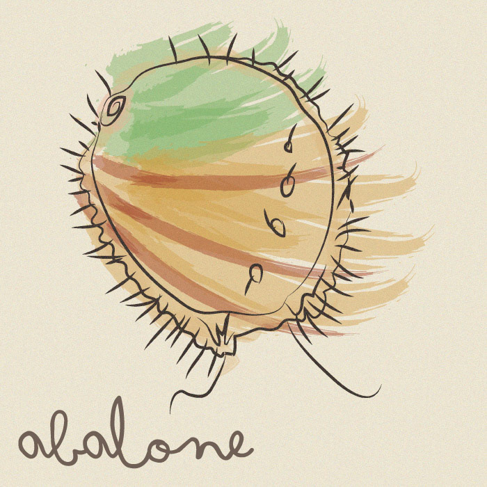 Abalone