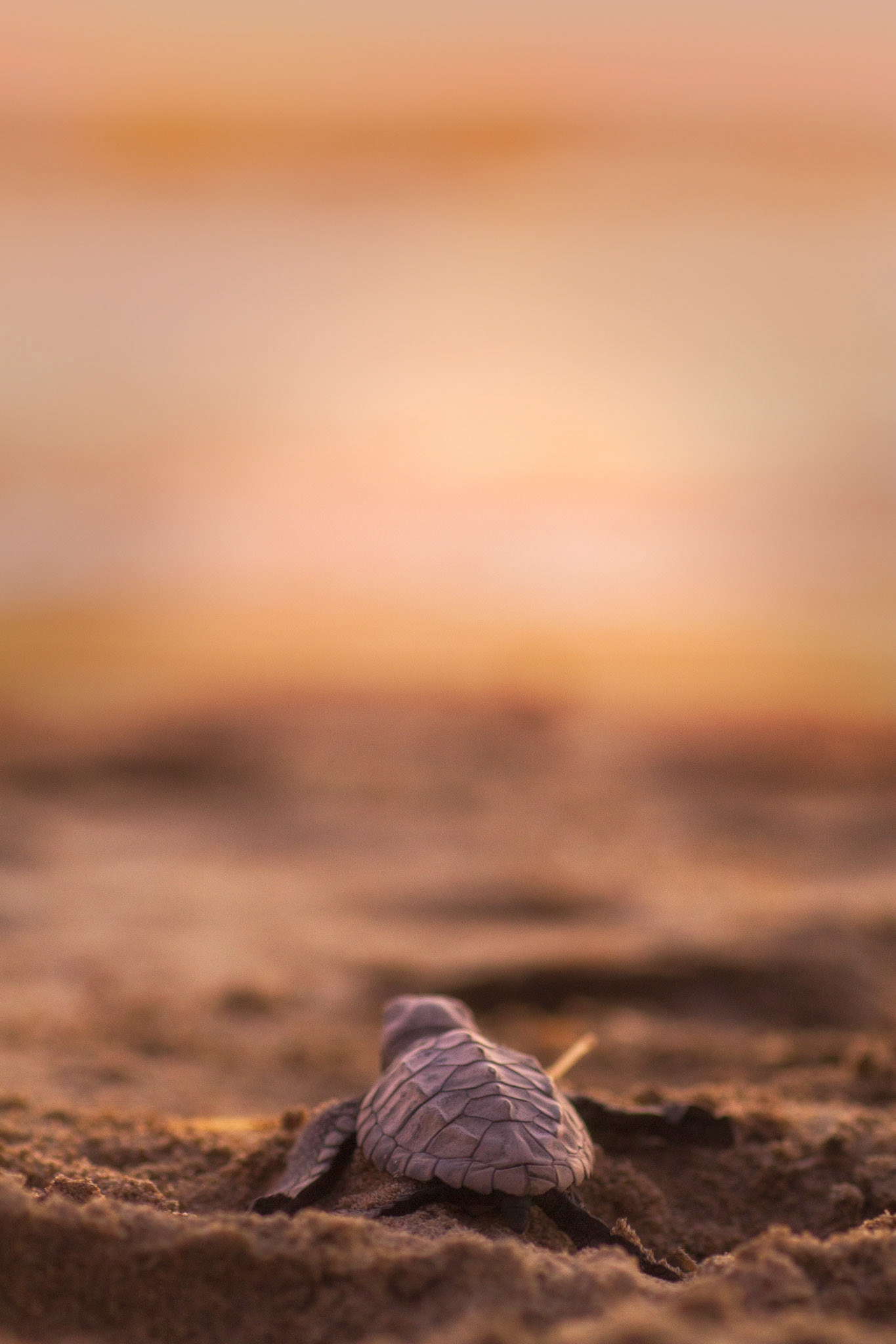 www.manuelmartelphotography.com