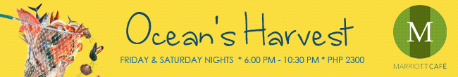 EMAIL BANNERS