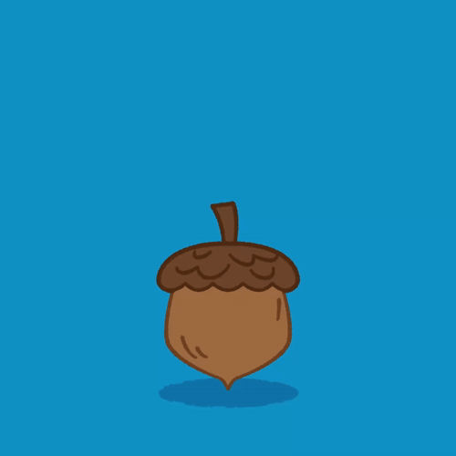 loading screen acorn animation
