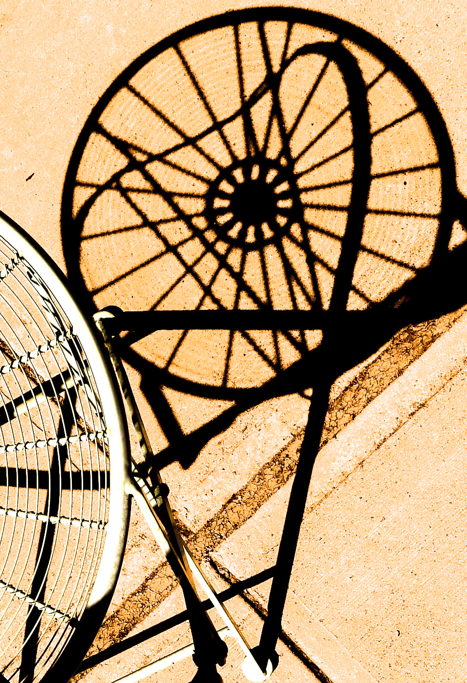 Cycling Dreams