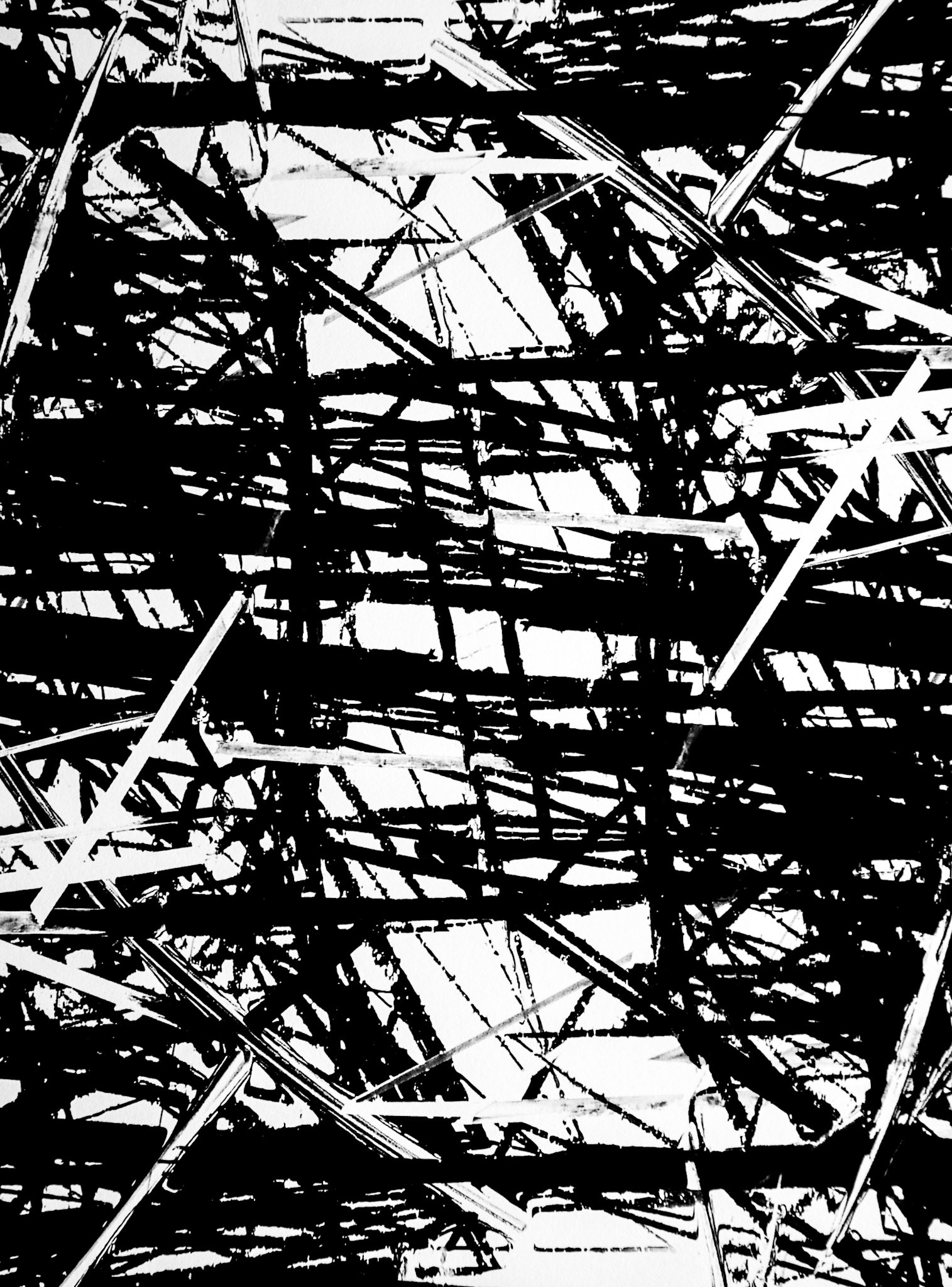archival pigment print on Hahnemuhle Photo Rag, 17 x 22 Edition1/1